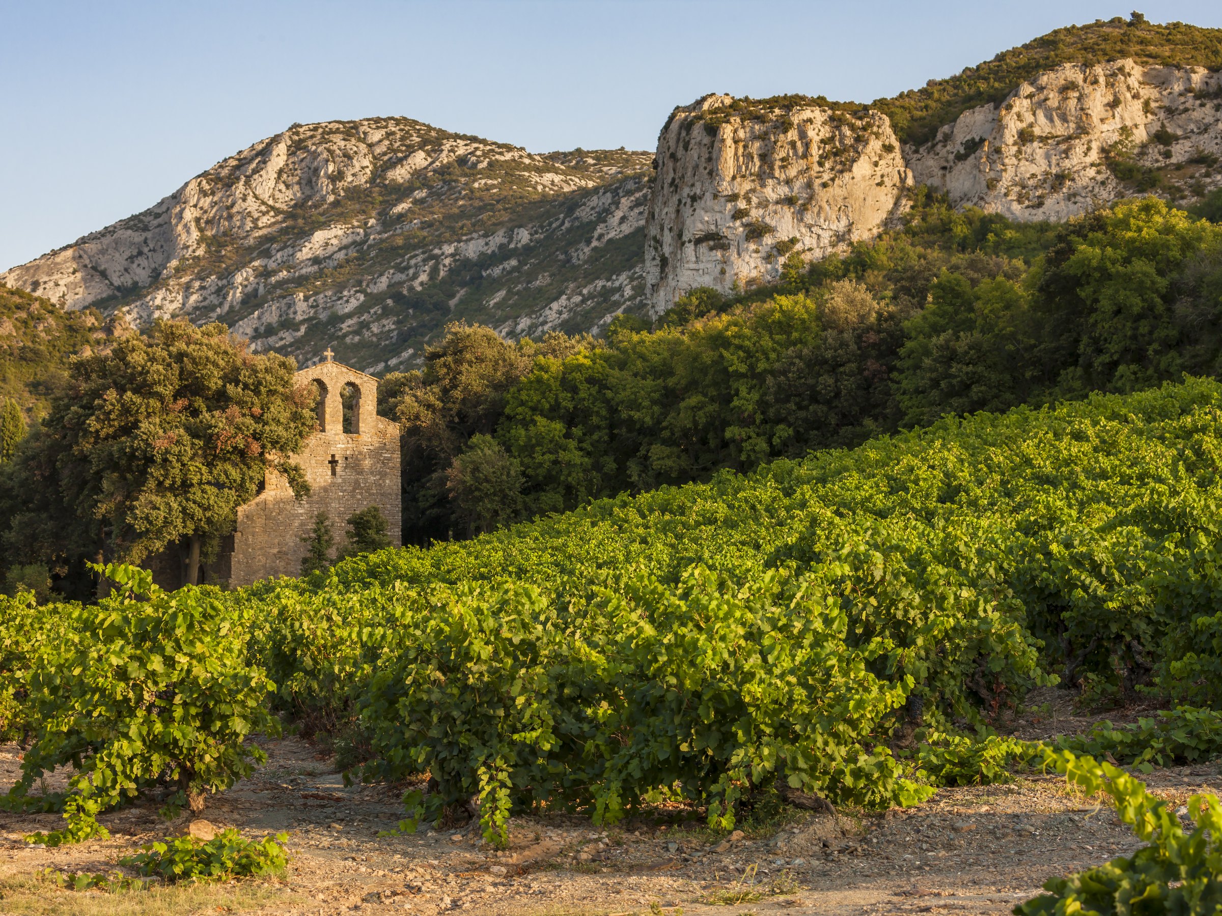 Vines climbing towards a limestone ridge, a stone building in the shade of trees