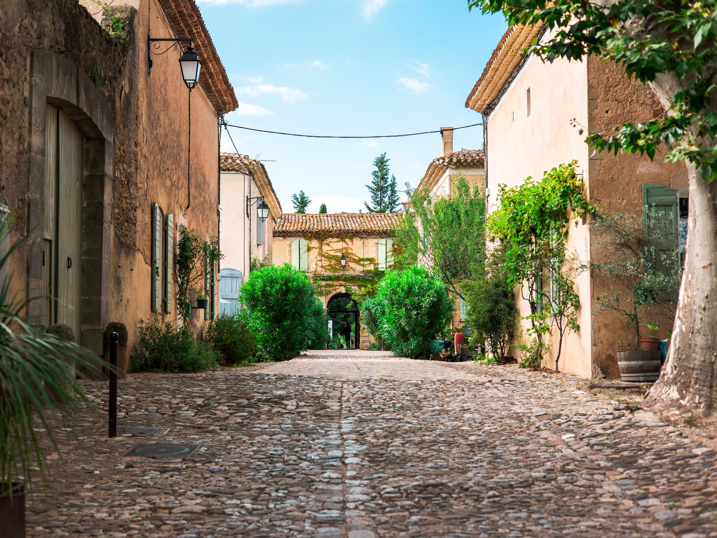 The paved lane of the Villeneuvette manufactory, between the plane trees