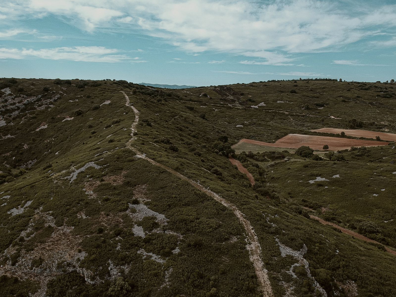 A garrigue trail over the limestone ridges of Aumelas, in the Hérault