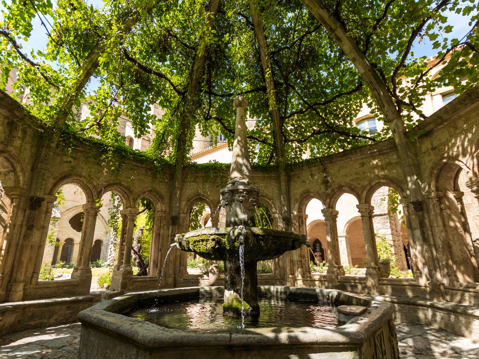 The cloister fountain of Valmagne abbey, under its dome of vine, at the centre of the arcades