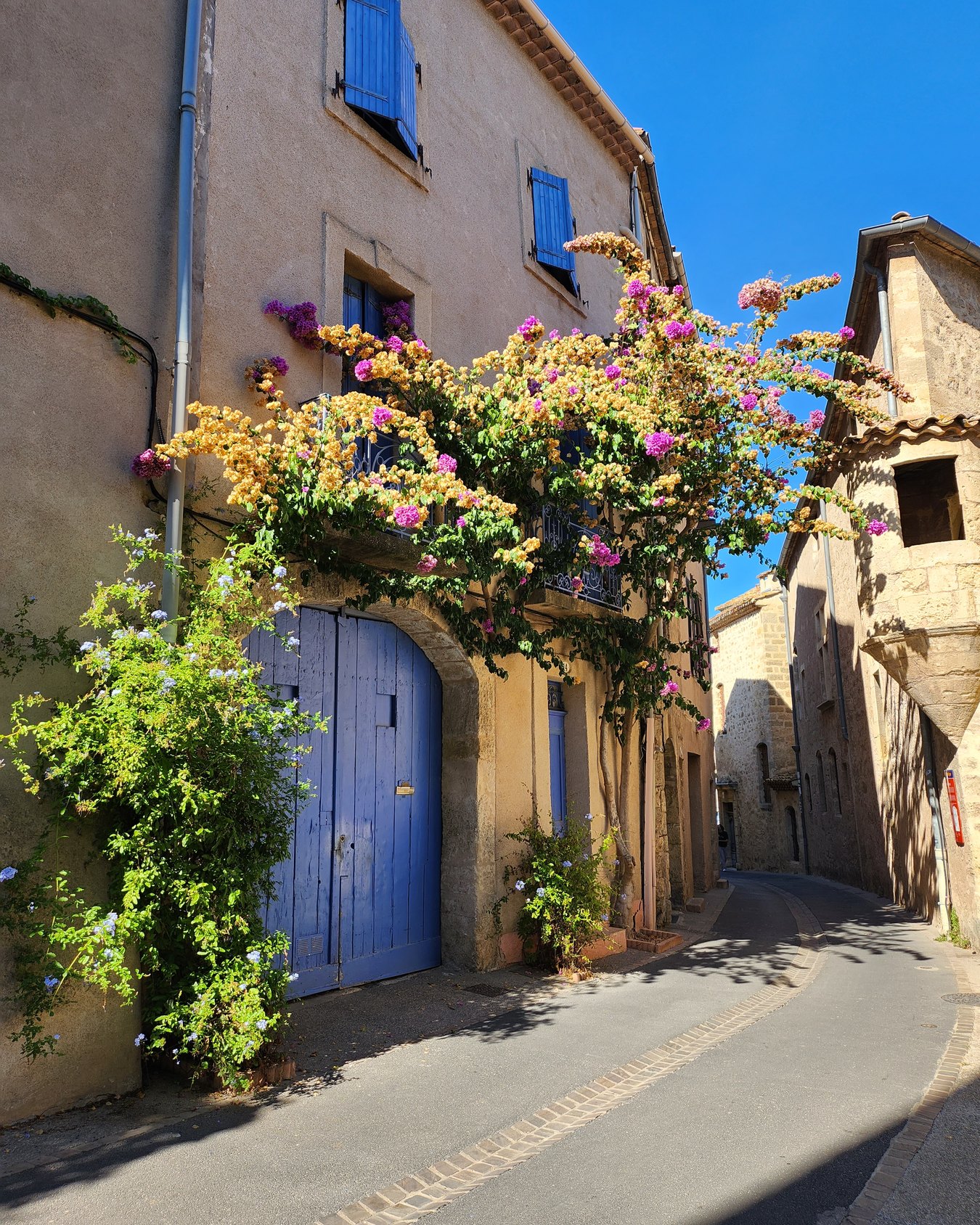 A narrow street in Pézenas, a bougainvillea in flower on a façade with blue shutters